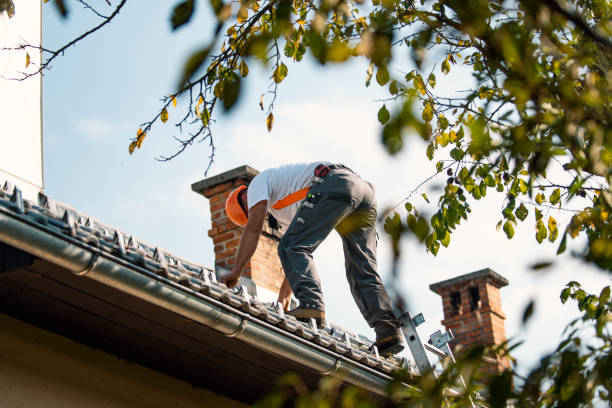 Best Roof Leak Repair  in St Cloud, MN