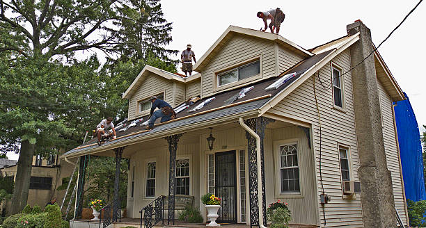 Best Residential Roofing Contractor  in St Cloud, MN